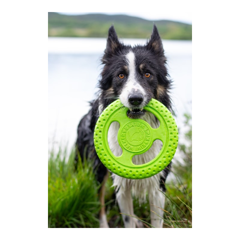 Frisbee ultra résistant flottant rebondissant