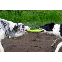 Frisbee ultra résistant flottant rebondissant