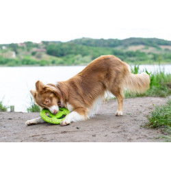 Frisbee ultra résistant flottant rebondissant