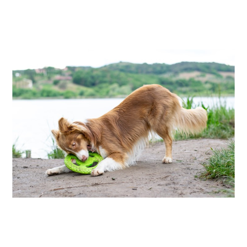 Frisbee ultra résistant flottant rebondissant