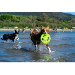 Frisbee ultra résistant flottant rebondissant