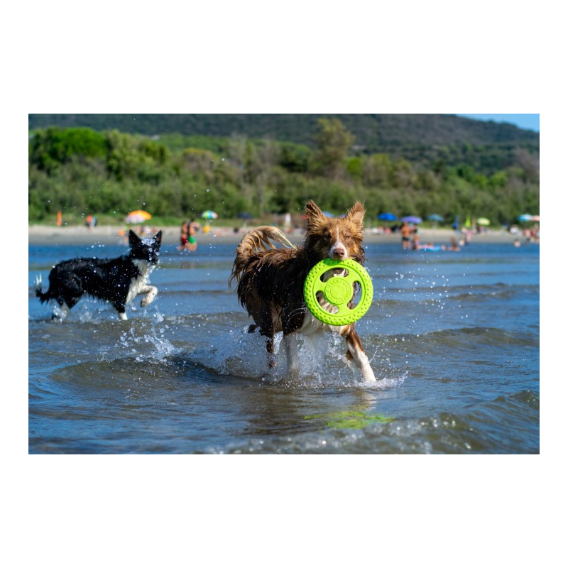 Frisbee ultra résistant flottant rebondissant