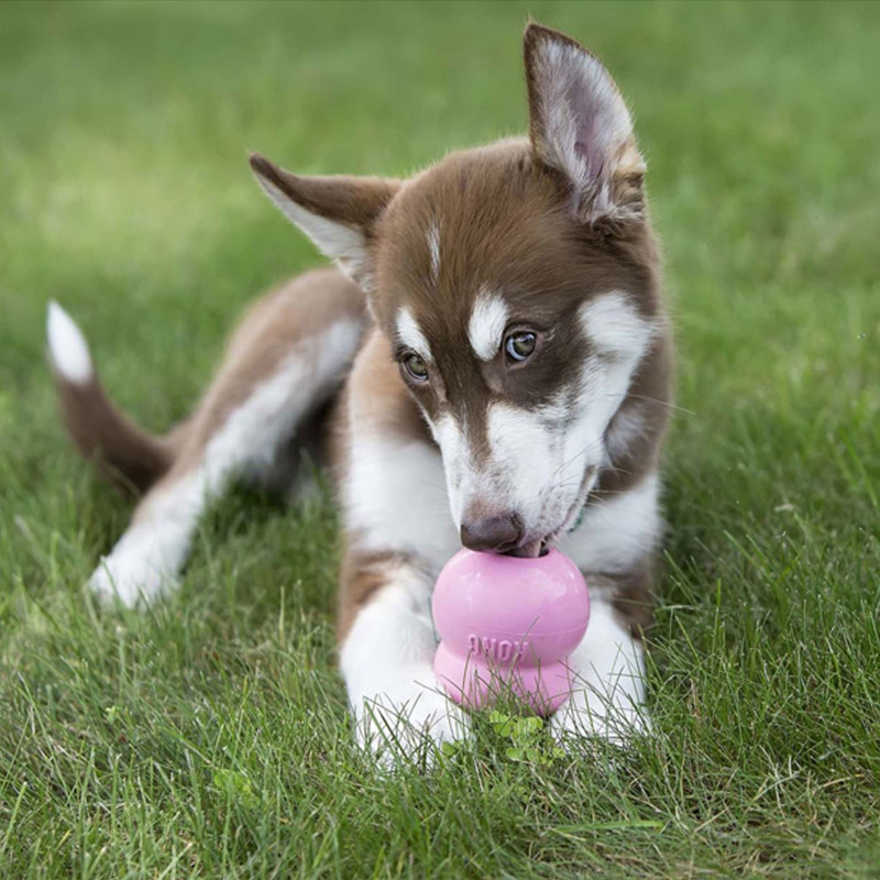 KONG Chiot Easy Treat