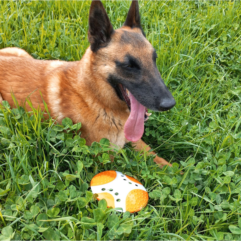 Frisbee pour Chien FIDELAMI