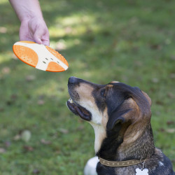 Frisbee pour Chien FIDELAMI