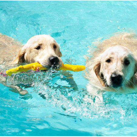 Branche flottante pour Chien FIDELAMI