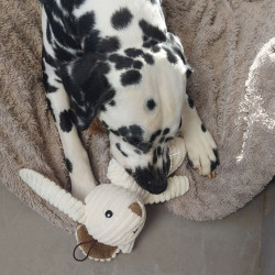 Plume doudou lapin FIDELAMI