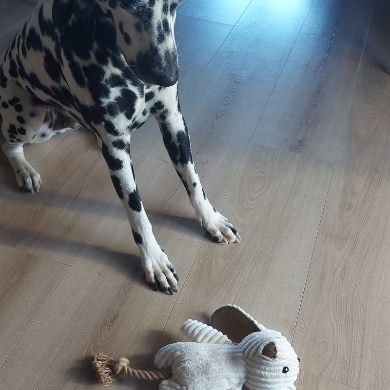 Plume doudou lapin FIDELAMI