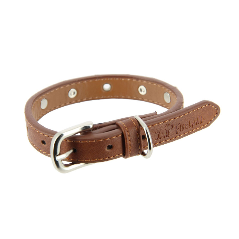 Collier chien cuir rivets argentés FIDELAMI