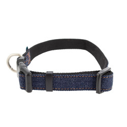 Collier pour Chien Blue Jean FIDELAMI