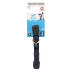 Collier pour Chien Blue Jean FIDELAMI